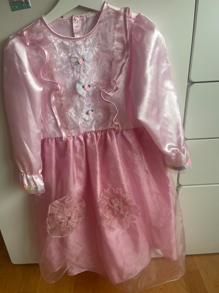 Roze prinsessenjurk voor 5-jarigen, Ophalen of Verzenden, Gebruikt, 110 t/m 116, Meisje