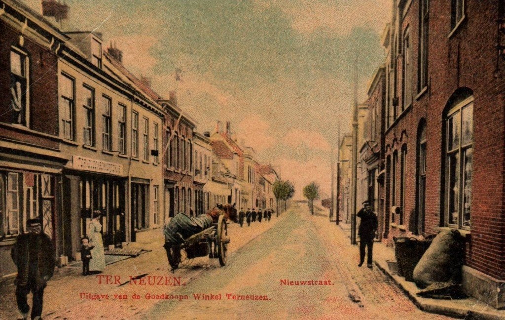 Ansichtkaart Terneuzen, Ophalen of Verzenden, Zeeland