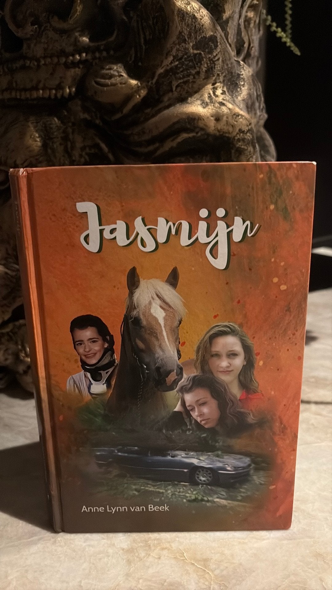 KR-1 Anne-Lynn van Beek - Jasmijn, Ophalen of Verzenden, Zo goed als nieuw, Anne-Lynn van Beek