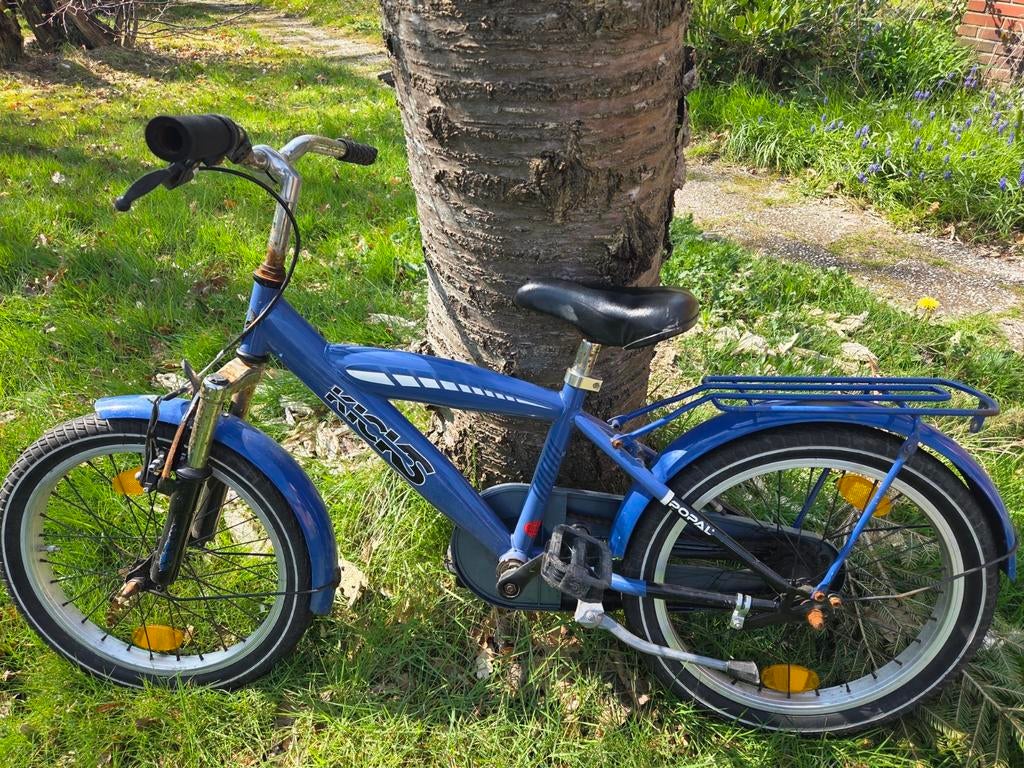 Robuuste Popal kinderfiets 18 inch - direct fietsplezier!, Ophalen, Gebruikt, 16 tot 20 inch, Popal