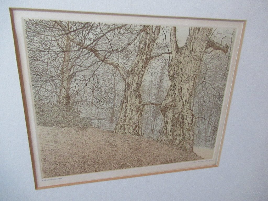 Reinder Homan Kleurenets, Ingelijst, Ophalen of Verzenden, Flora en Fauna, 1950 - 1999