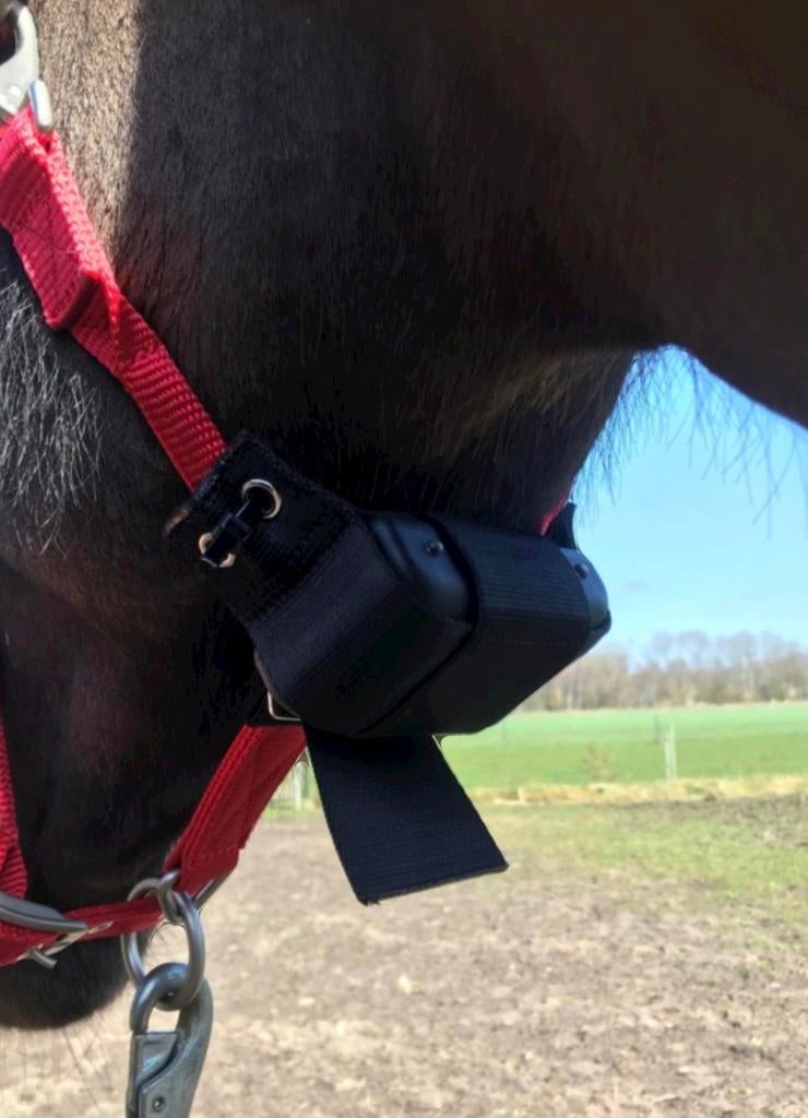 Te huur birth alarm, Dieren en Toebehoren, Paarden en Pony's | Overige Paardenspullen, Ophalen, Zo goed als nieuw, Overige soorten