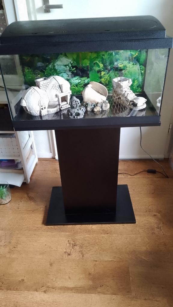 Aquarium 54 liter met poot/meubel, zie omschrijving, Dieren en Toebehoren, Ophalen