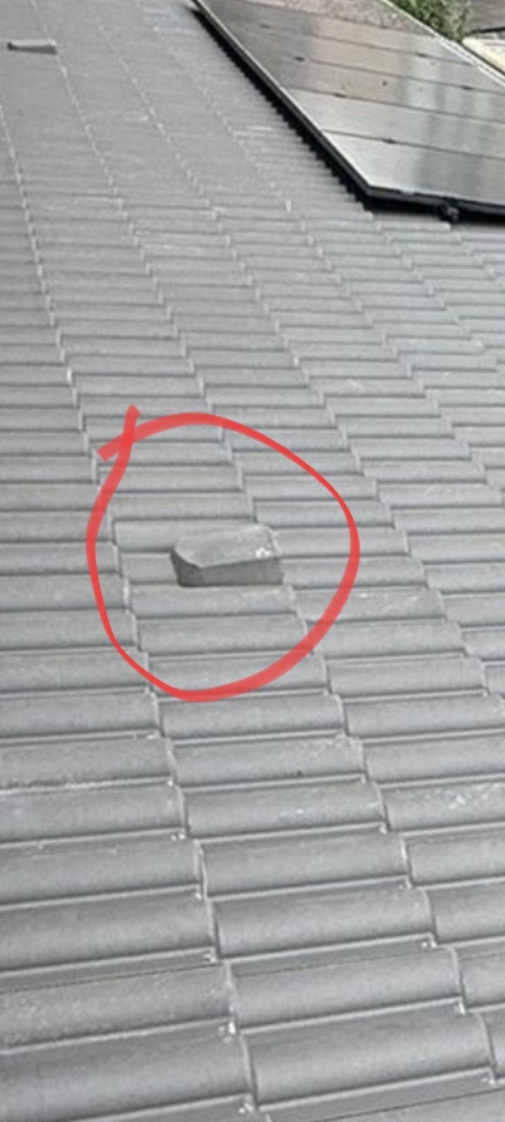 Gevraagd ventilatie dakpan Neroma, Doe-het-zelf en Verbouw, Dakpannen en Dakbedekking, Ophalen of Verzenden, Steen of Klei, Minder dan 5 m²