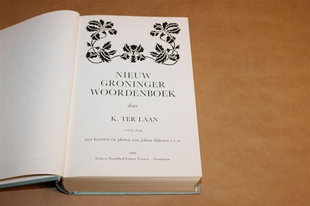 Nieuw Groninger Woordenboek — Standaardwerk K. ter Laan, Ophalen of Verzenden, Zo goed als nieuw
