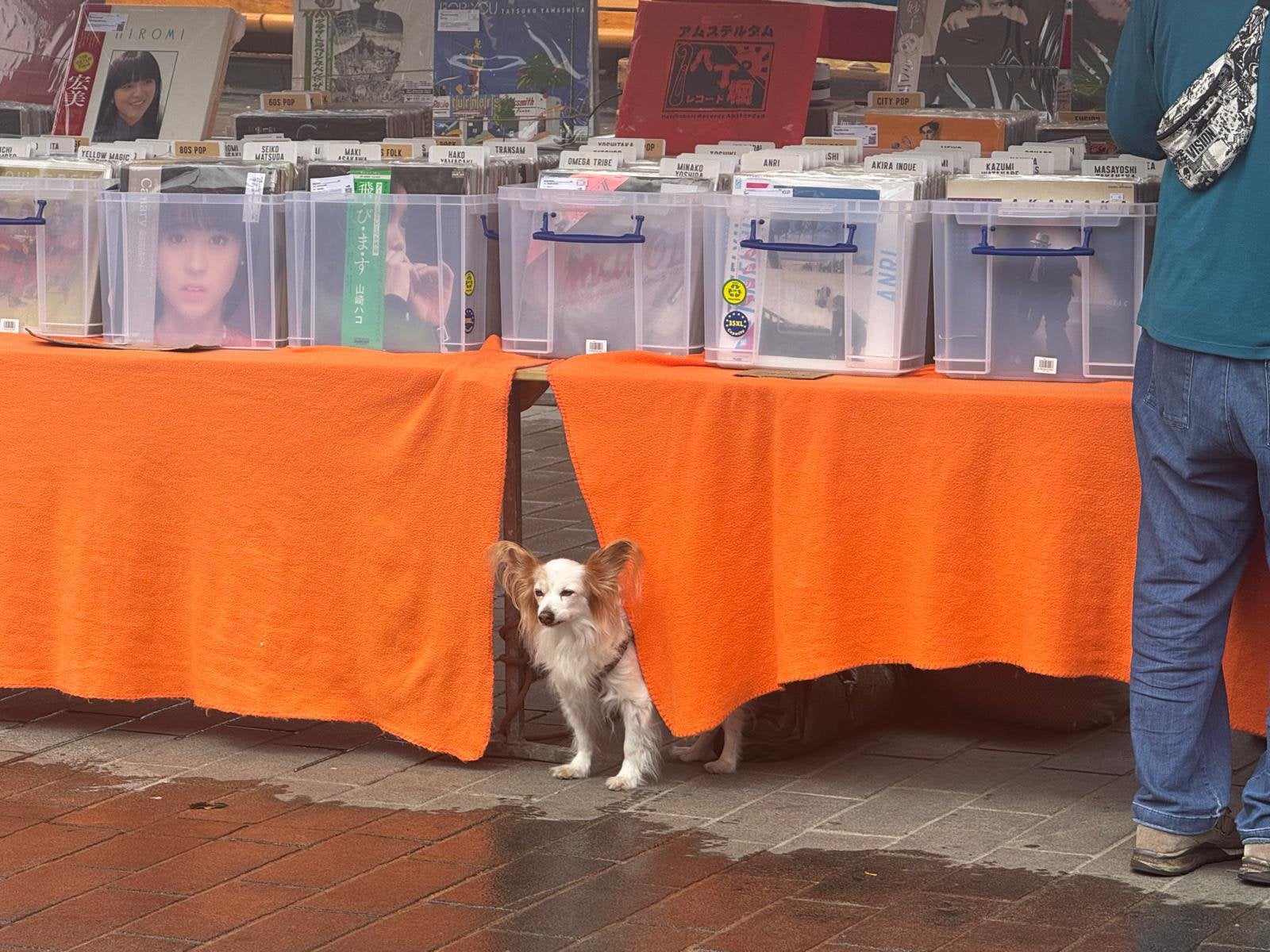 Foto 3 van De Platenbeurs Agenda Vinyl vinden begint hier