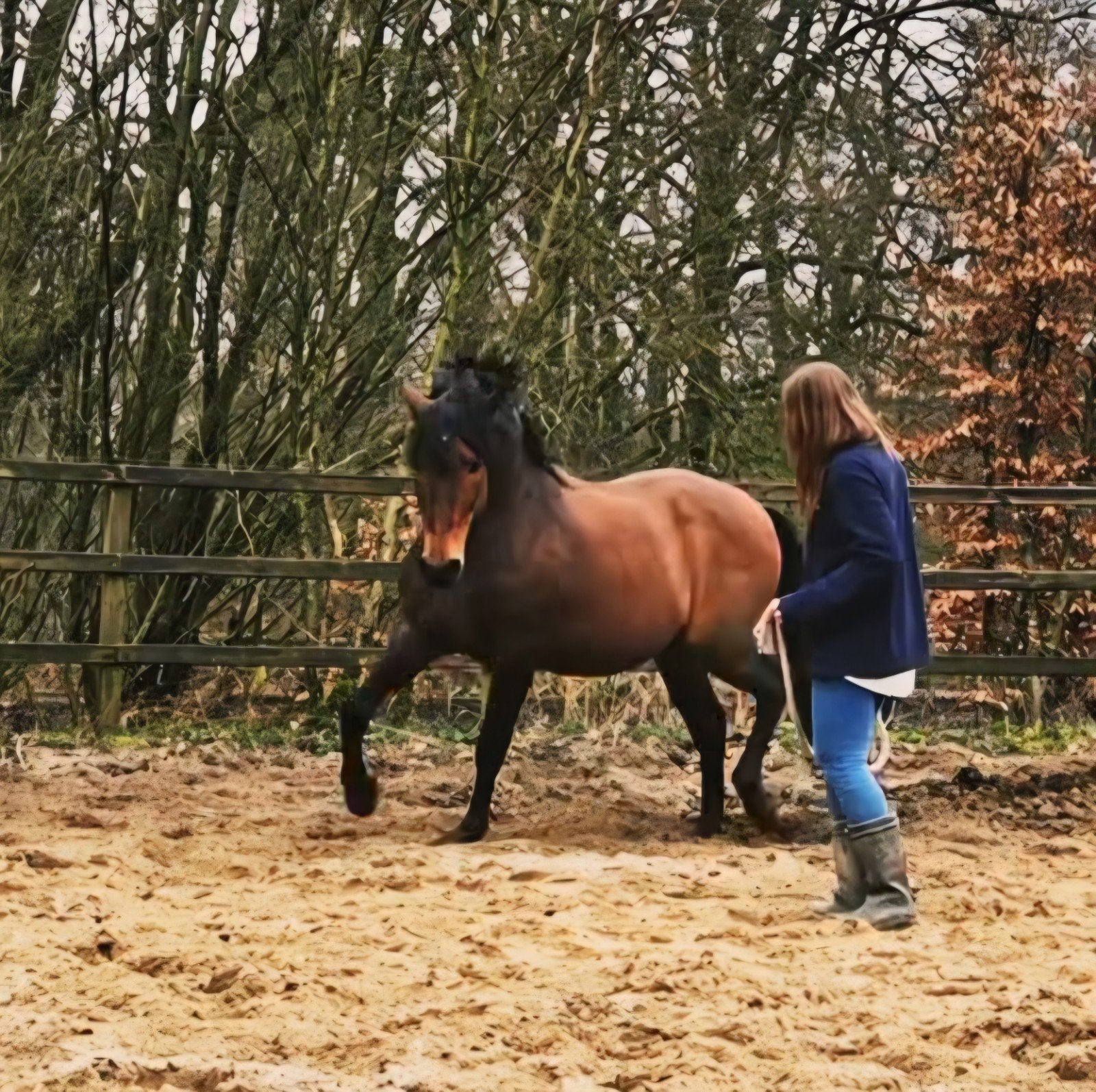 Buitenkans! Bijzonder spaans paard met potentie zoekt leaser, Verzorging of Verzorgpony's