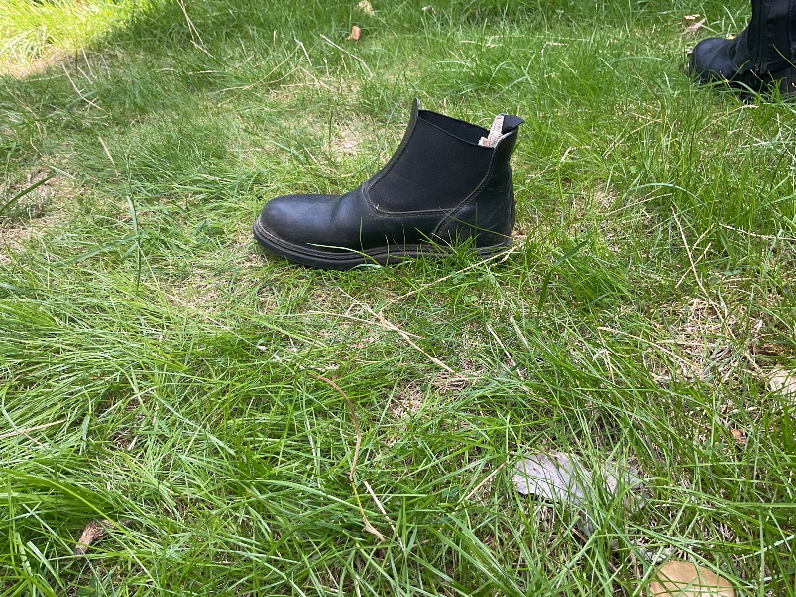 Jodphurs en chaps - maat 34, Ophalen, Met stretch, Gebruikt, Kinderen