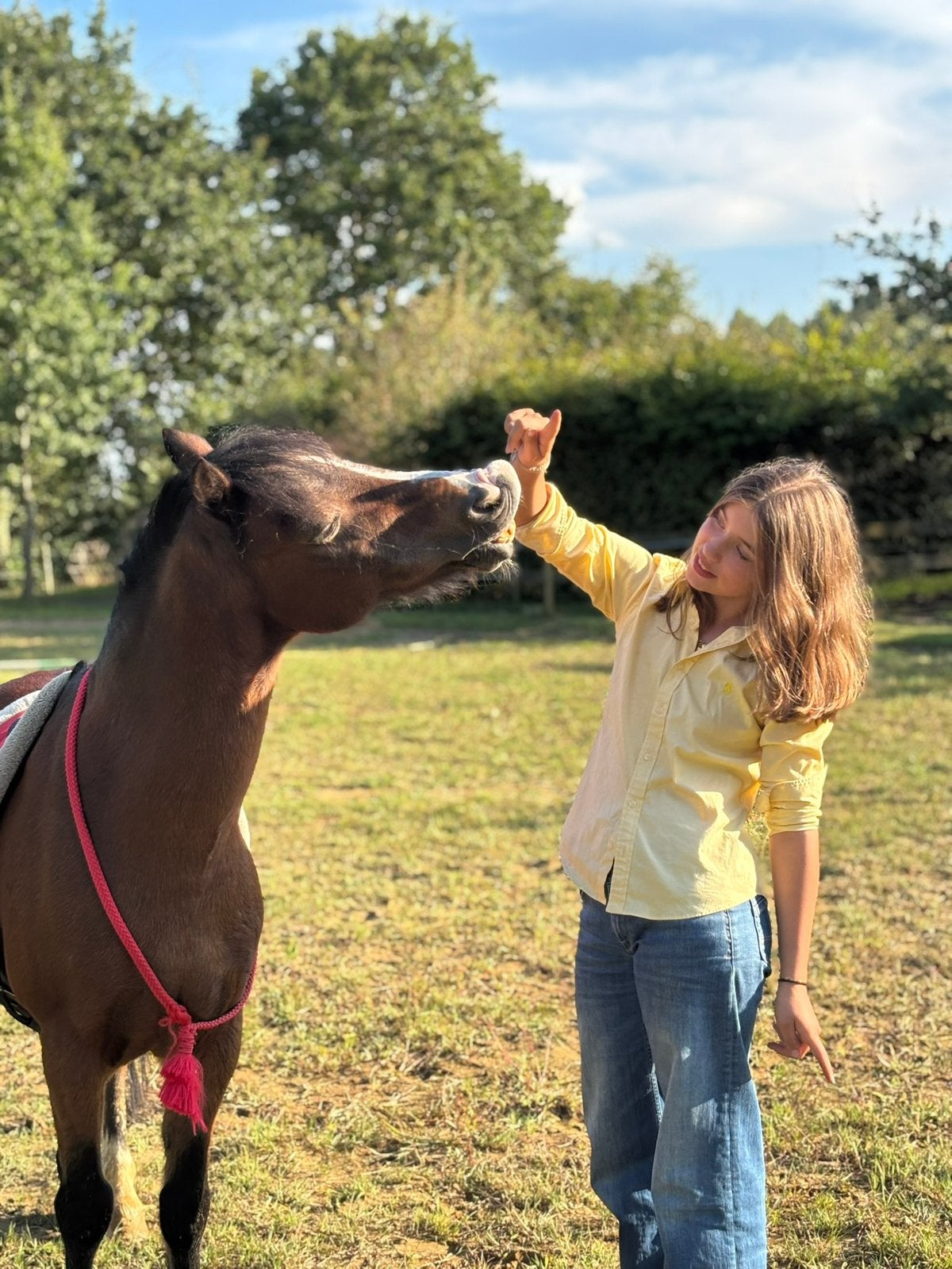 Verzorg pony aangeboden, Ophalen of Verzenden, Zo goed als nieuw
