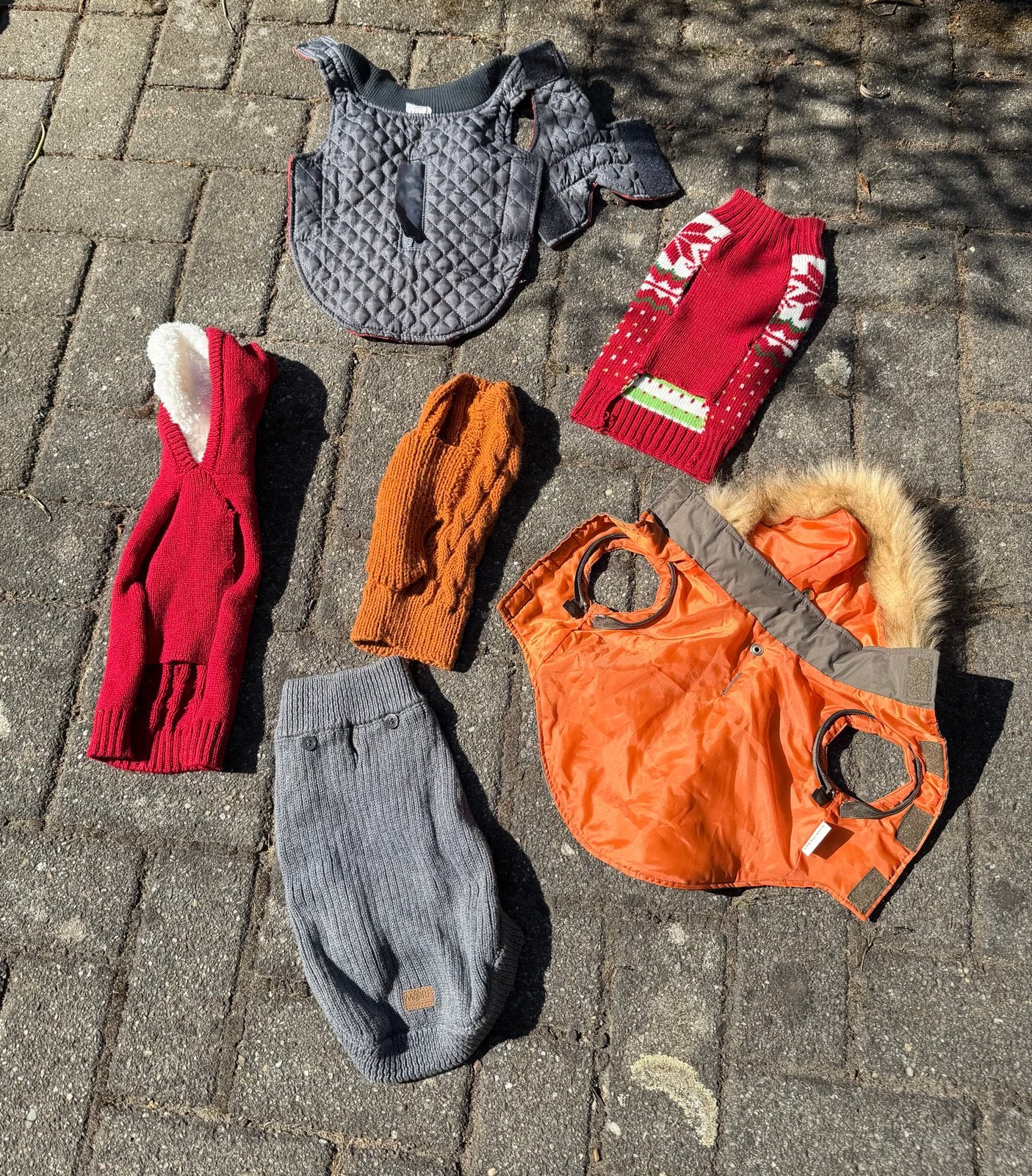 Hondenkleding voor kleine honden, Dieren en Toebehoren, Ophalen of Verzenden, Gebruikt, Hondenjas