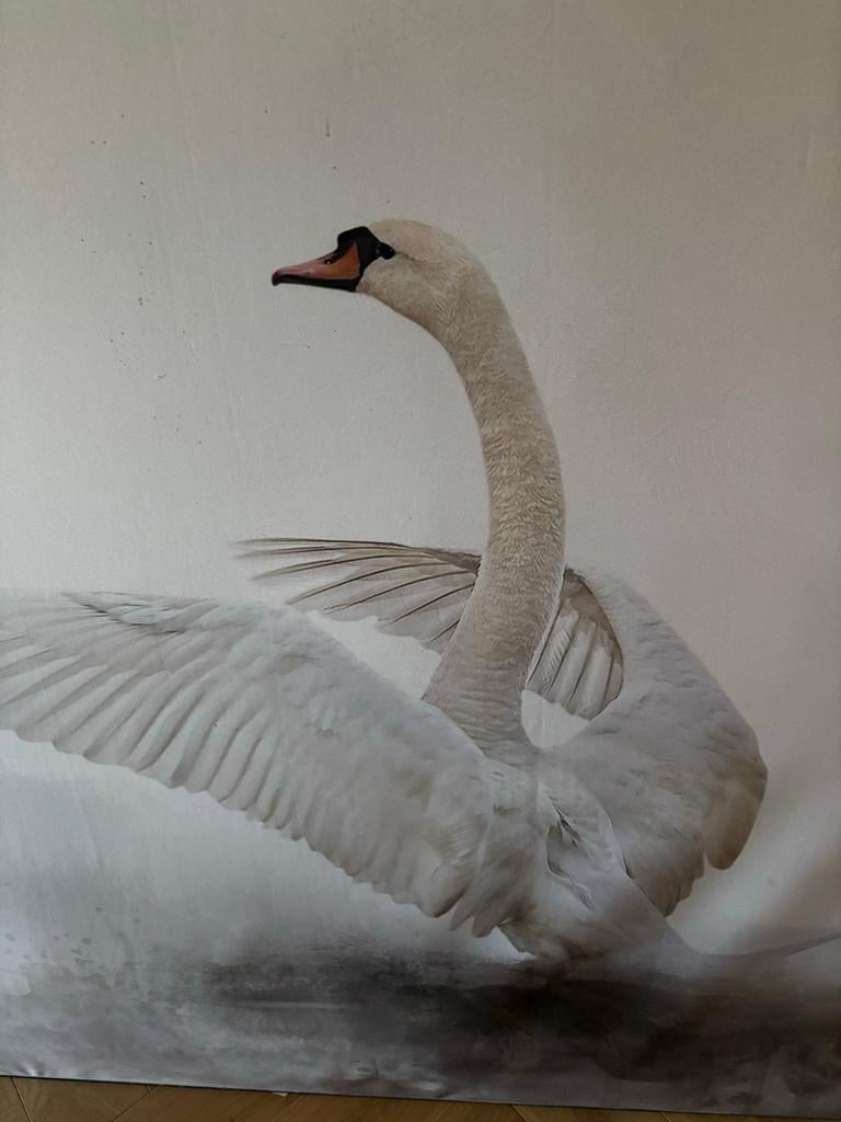 Schilderij Zwaan op Canvas - Elegant en Rustgevend, Antiek en Kunst, Kunst | Schilderijen | Klassiek, Ophalen