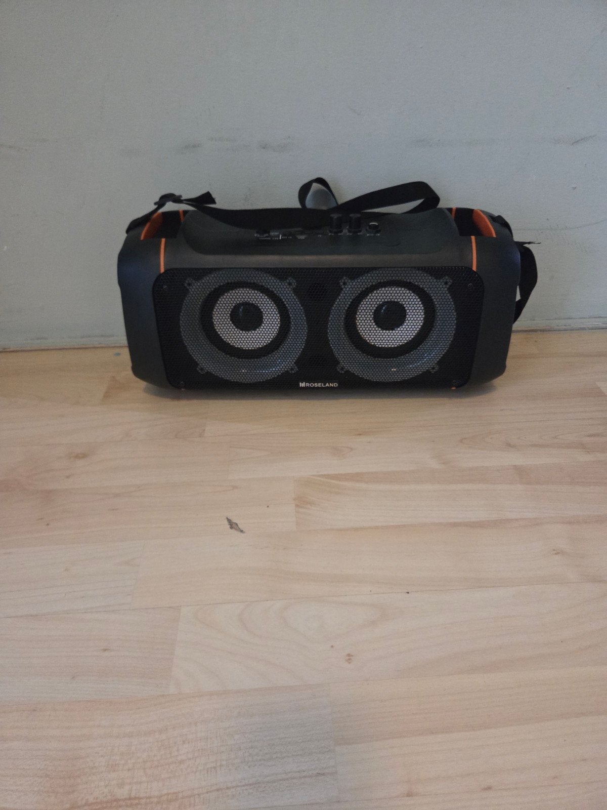 Robeland RS-500 20W Party Speaker - Draagbaar en Krachtig