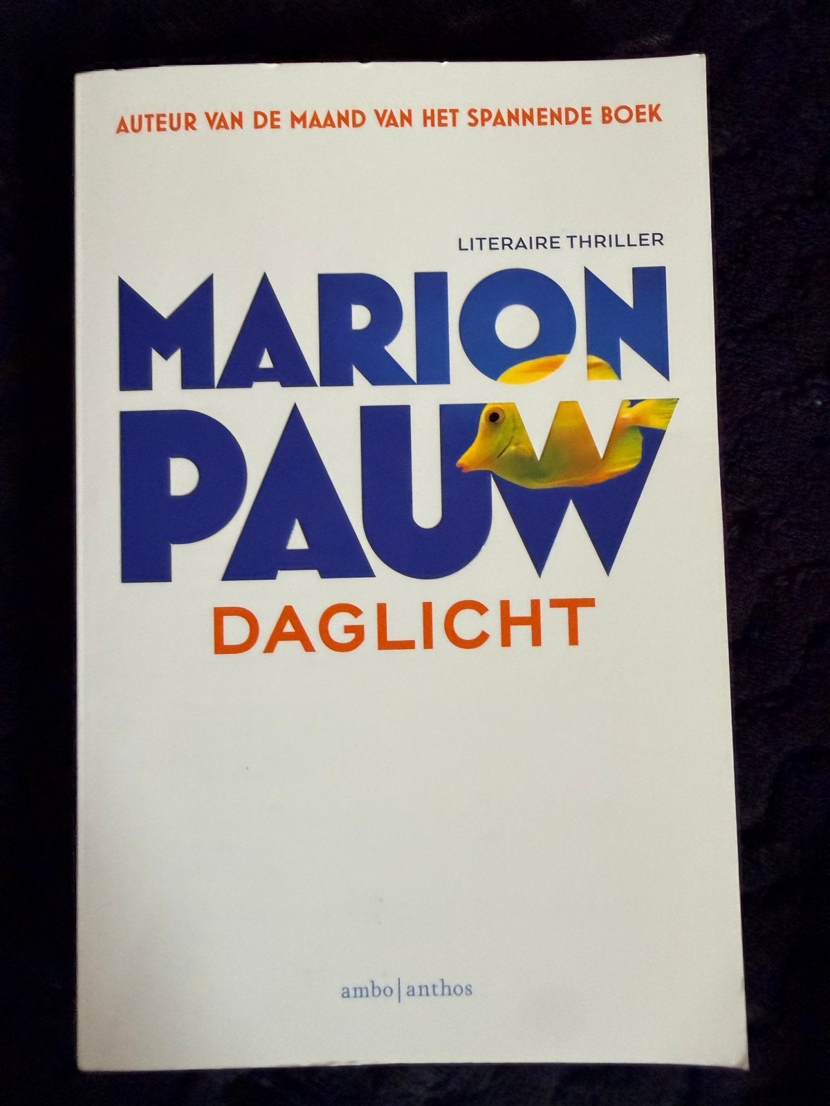 Marion Pauw - Daglicht (Literaire thriller), Ophalen of Verzenden, Nieuw, Nederland