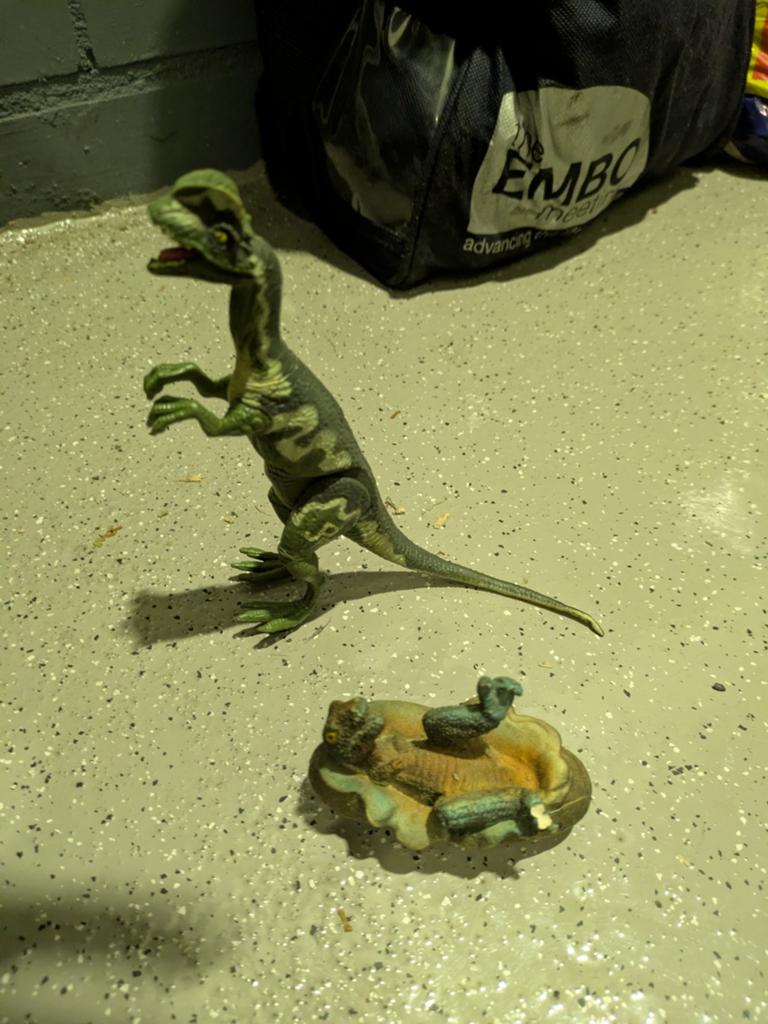 Jurassic Park Dilophosaurus Figuur met Baby Dinosaurus, Ophalen of Verzenden, Zo goed als nieuw