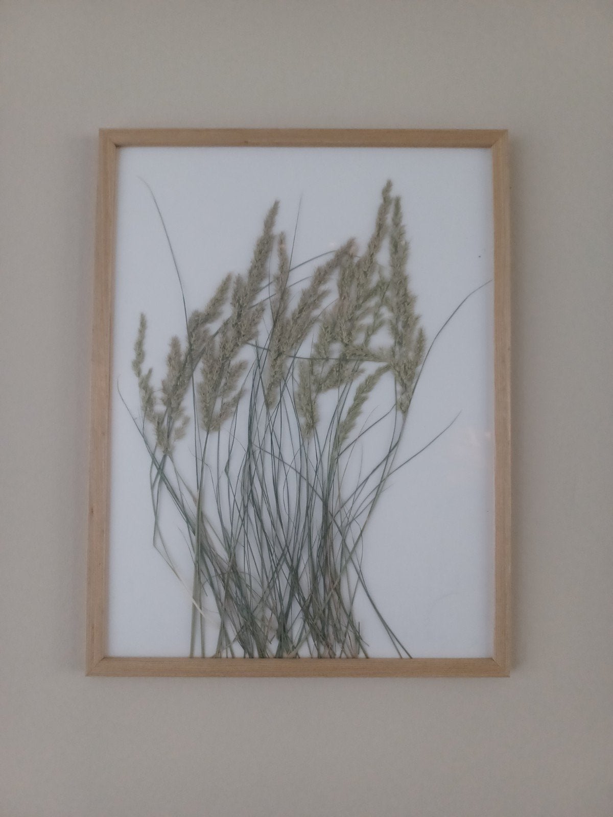 Gedroogde Wilde Planten & Grassen - Drieluik Schilderij, Meerkleurig, Nieuw, Ophalen of Verzenden, Landelijk