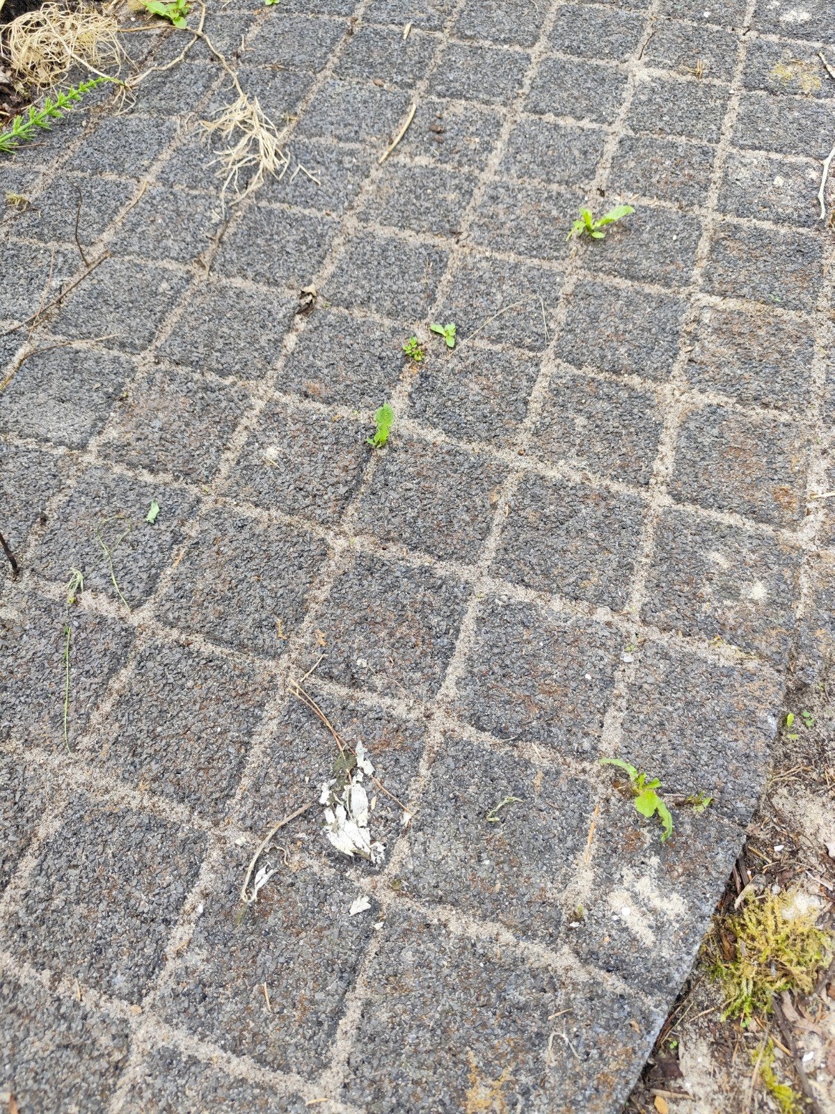 Gratis antraciet klinkers 10 x 10 x 6 cm. +/- 5 M2, Tuin en Terras, Ophalen, Beton, Klinkers