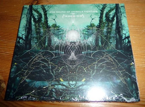 CD THE SOUND OF ANIMALS FIGHTING -The ocean and the sun, Ophalen of Verzenden