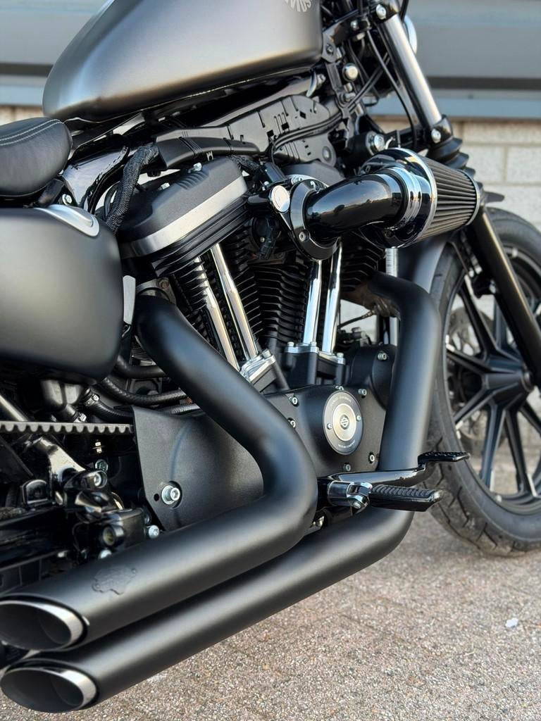Harley Davidson Chopper XL 883N Sportster Iron (BJ 2021), Motoren, Motoren | Harley-Davidson, Chopper, Bedrijf, 883 cc, Meer dan 35 kW