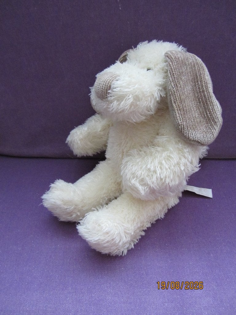 TIAMO Knuffel HOND. 27 CM **Nieuw**, Nieuw, Met label, Tiamo, Hond