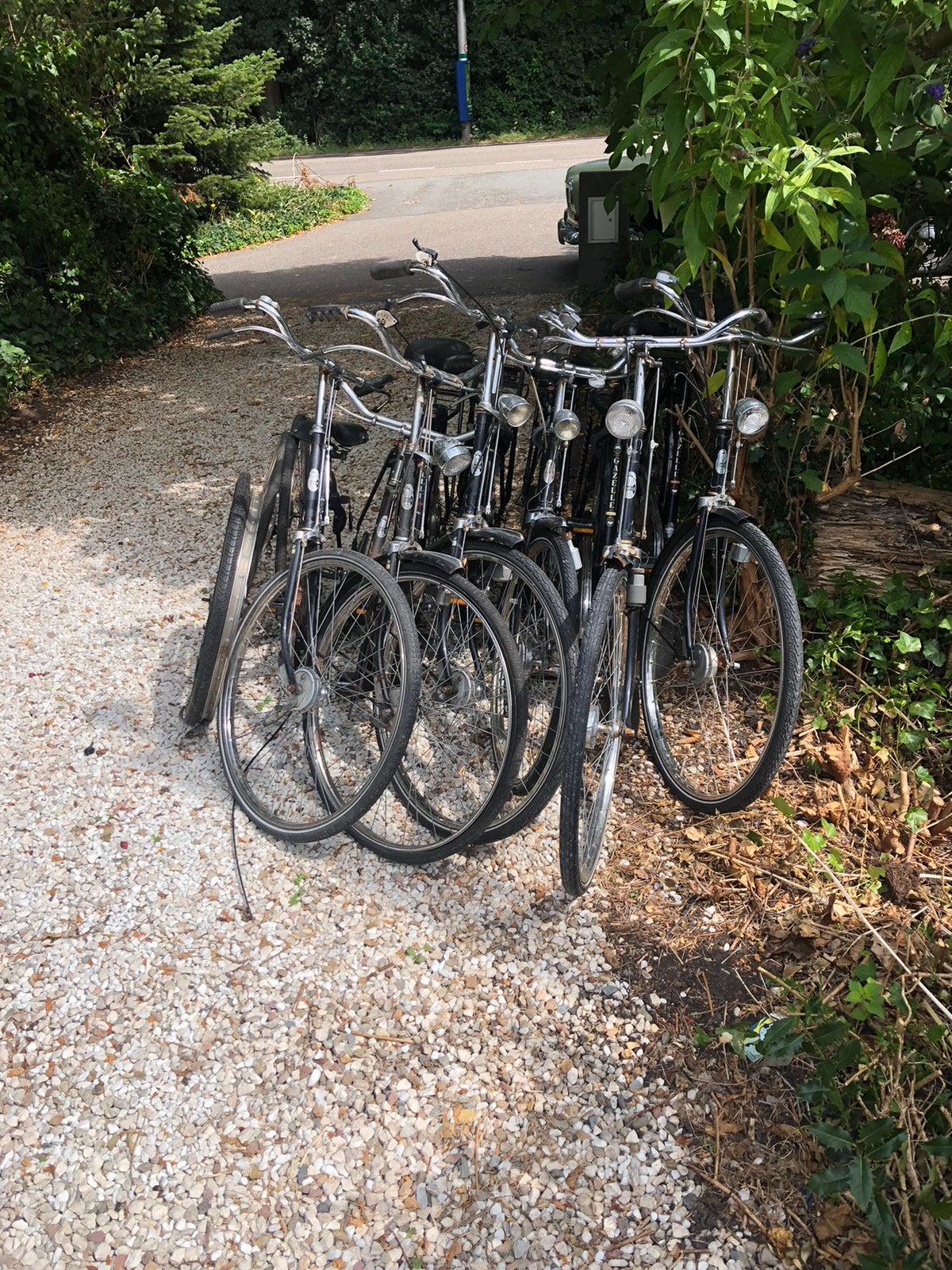 Gazelle oldtimer, 59 cm of meer, Ophalen