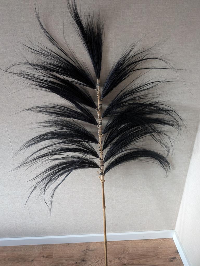 Decoratieve pluim, Huis en Inrichting, Woonaccessoires | Overige, Zo goed als nieuw, Natuurlijk materiaal, Zwart, Boho, Ophalen