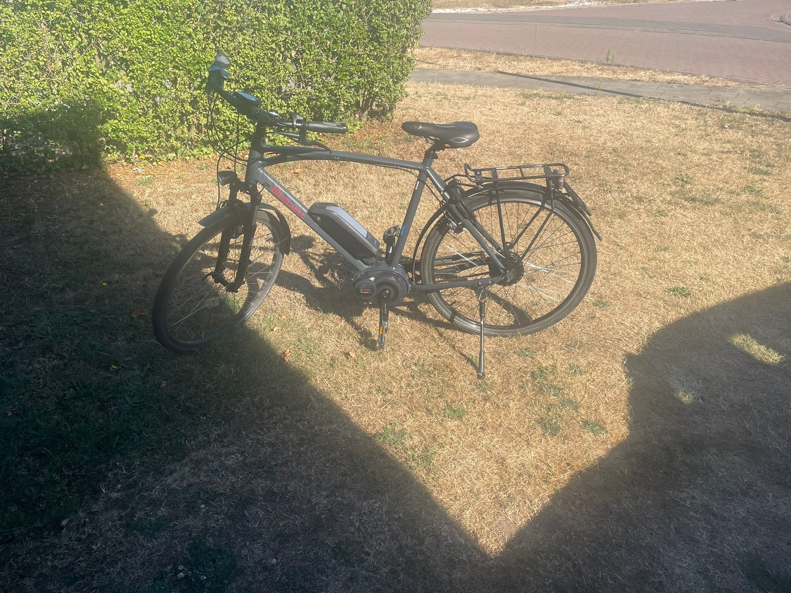 Riese Muller elektrische herenfiets (speedpedelec), Gebruikt, 59 cm of meer, 50 km per accu of meer, Ophalen