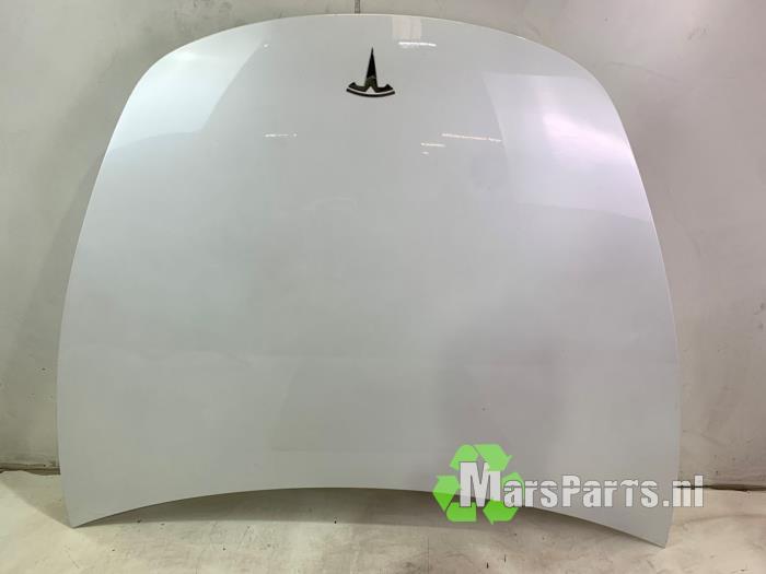 Motorkap van een Tesla Model 3 (PPSW), Gebruikt, -, Overige automerken, -
