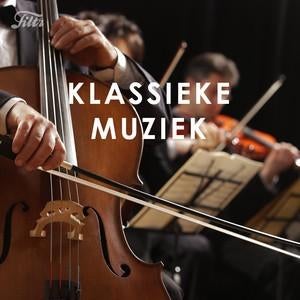 Klassieke Muziek (incl. Verzamelalbums), Ophalen of Verzenden