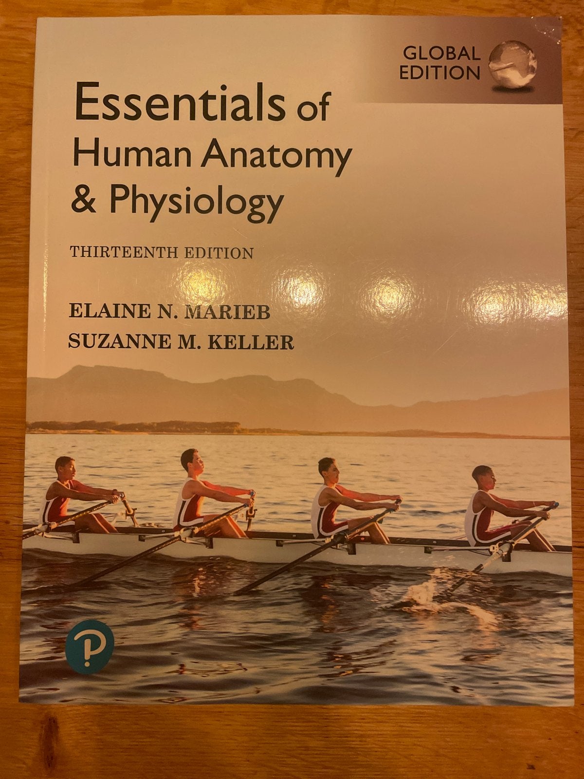 Essentials of Human Anatomy & Physiology - 13e Global Editio, Ophalen of Verzenden, Beta, Nieuw, HBO