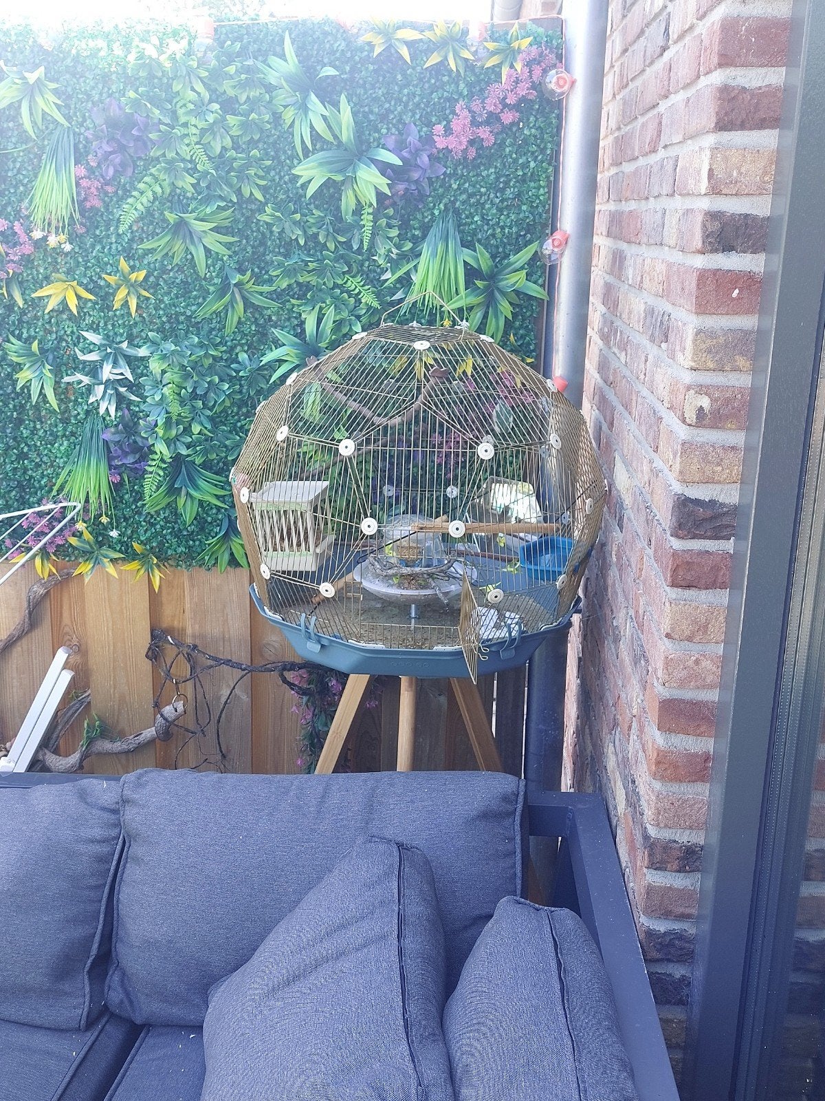 Mooie vogel kooi, Ophalen of Verzenden