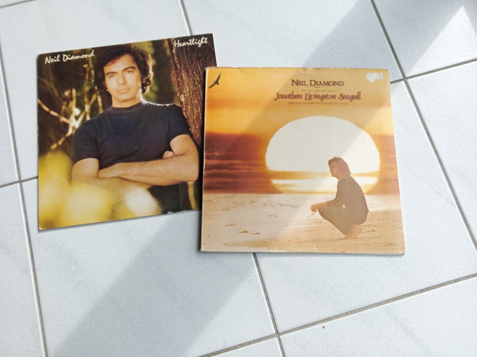 Neil Diamond - Jonathan Livingston Seagull LP (1973), LP, Gebruikt, Pop, Ophalen of Verzenden