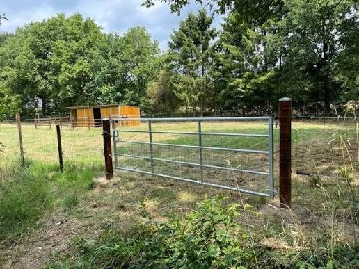 Weiland Gezocht., Dieren en Toebehoren, Weidegang, 2 of 3 paarden of pony's