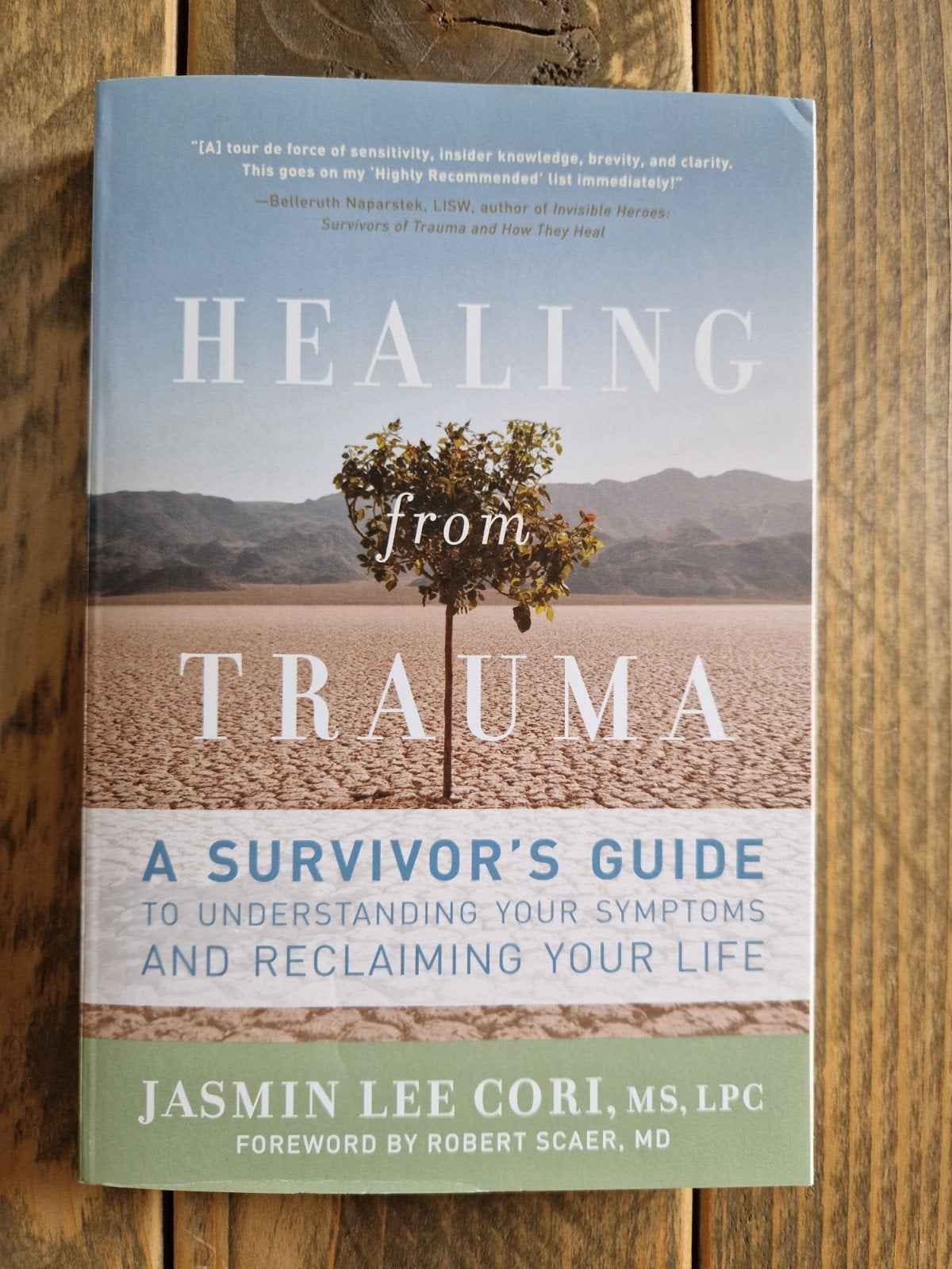 Healing from Trauma: A Survivor's Guide - Jasmin Lee Cori, Ophalen of Verzenden, Zo goed als nieuw, Klinische psychologie, Jasmin Lee Cori