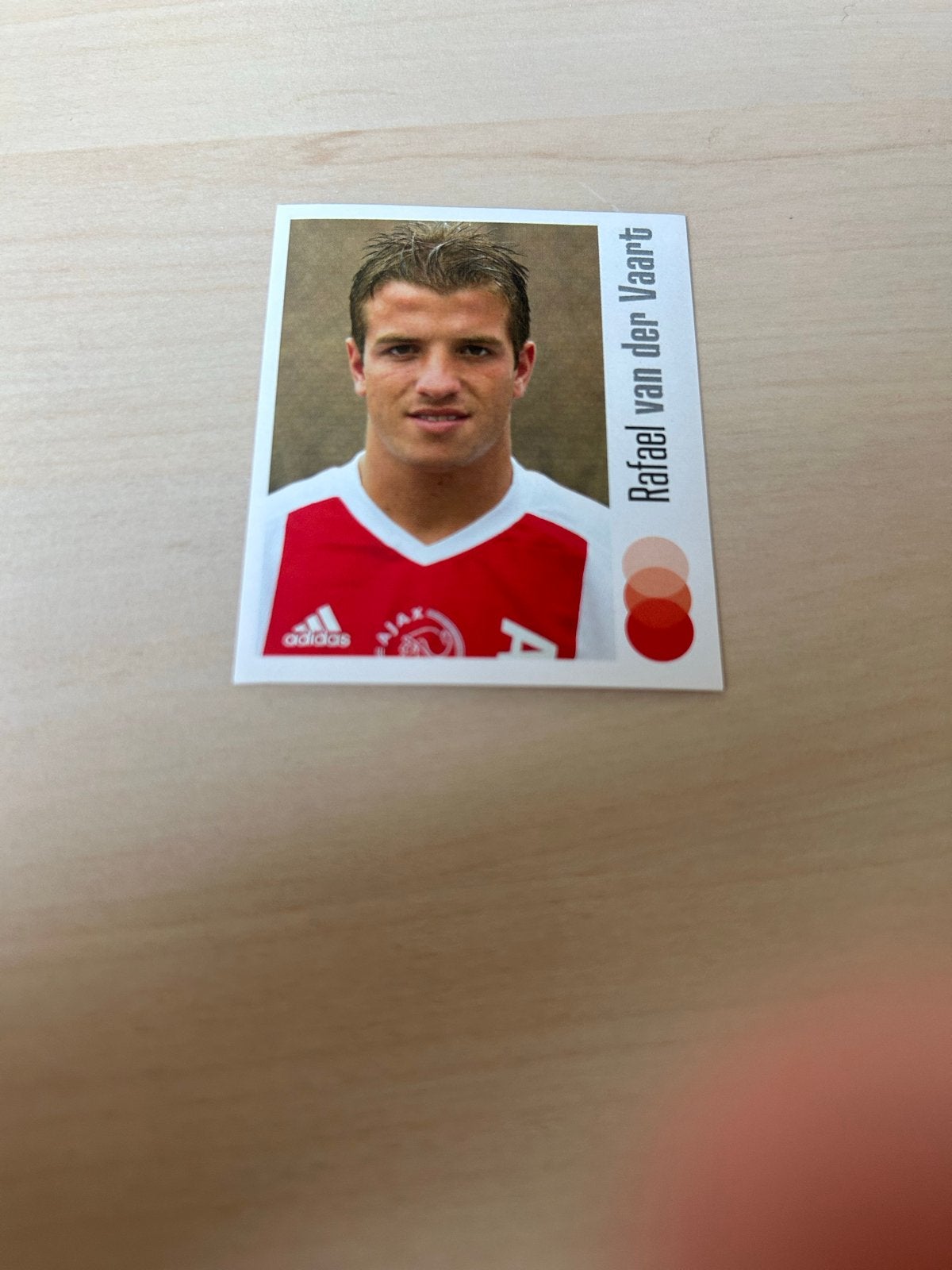 Rafael van der Vaart Panini Voetbal 04 Plaatje, Ophalen of Verzenden, Zo goed als nieuw, Sticker