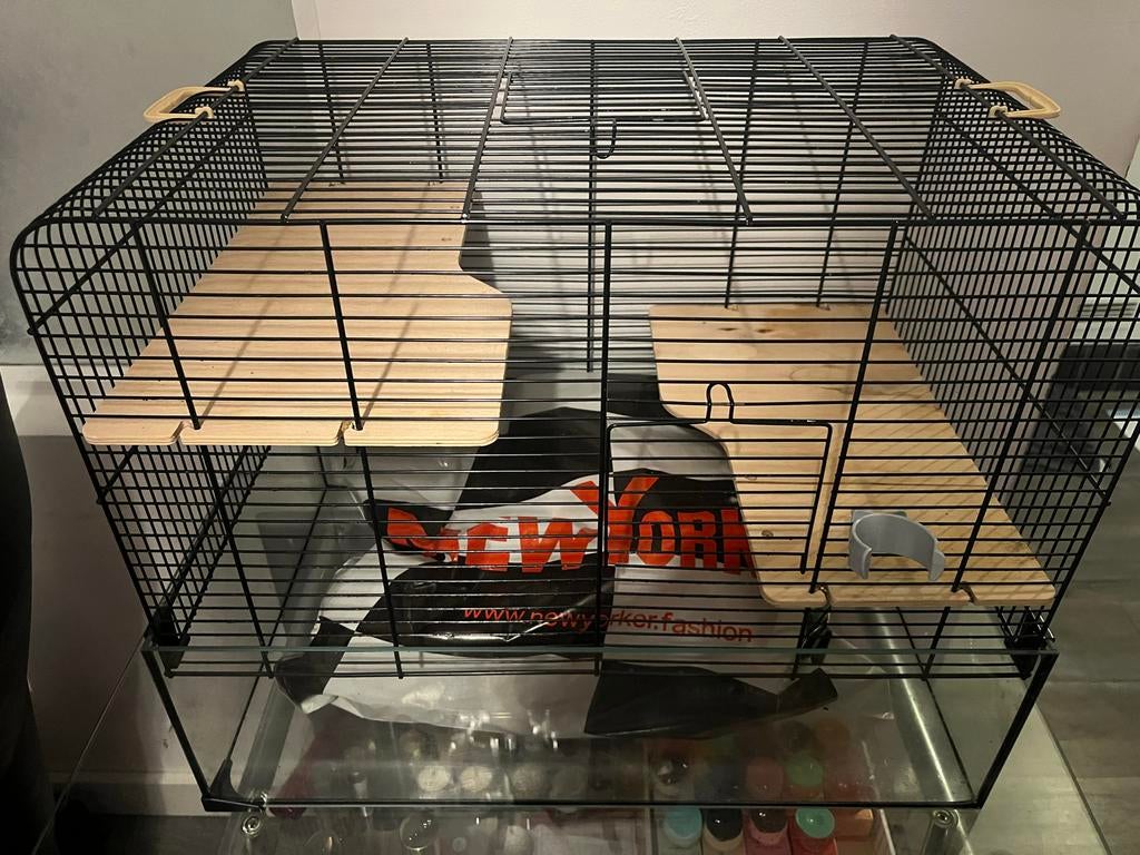 Hamsterkooi, Kooi, Minder dan 75 cm, Ophalen, Minder dan 60 cm