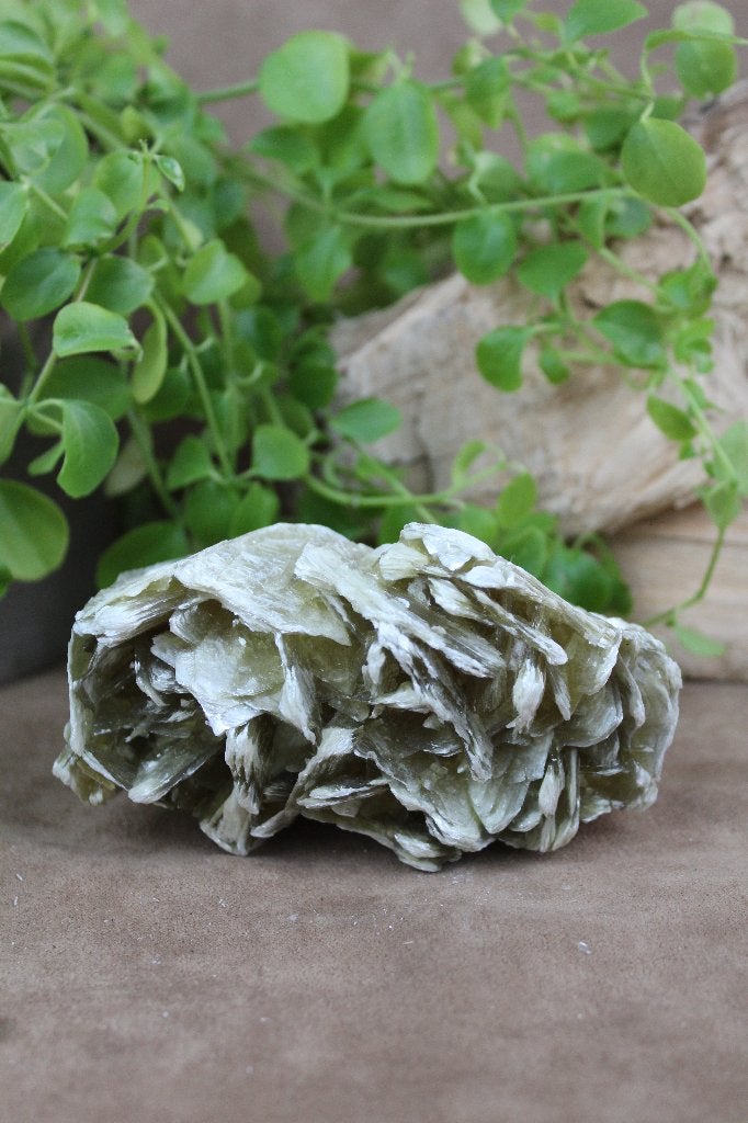 Gele mica, Ophalen of Verzenden, Mineraal