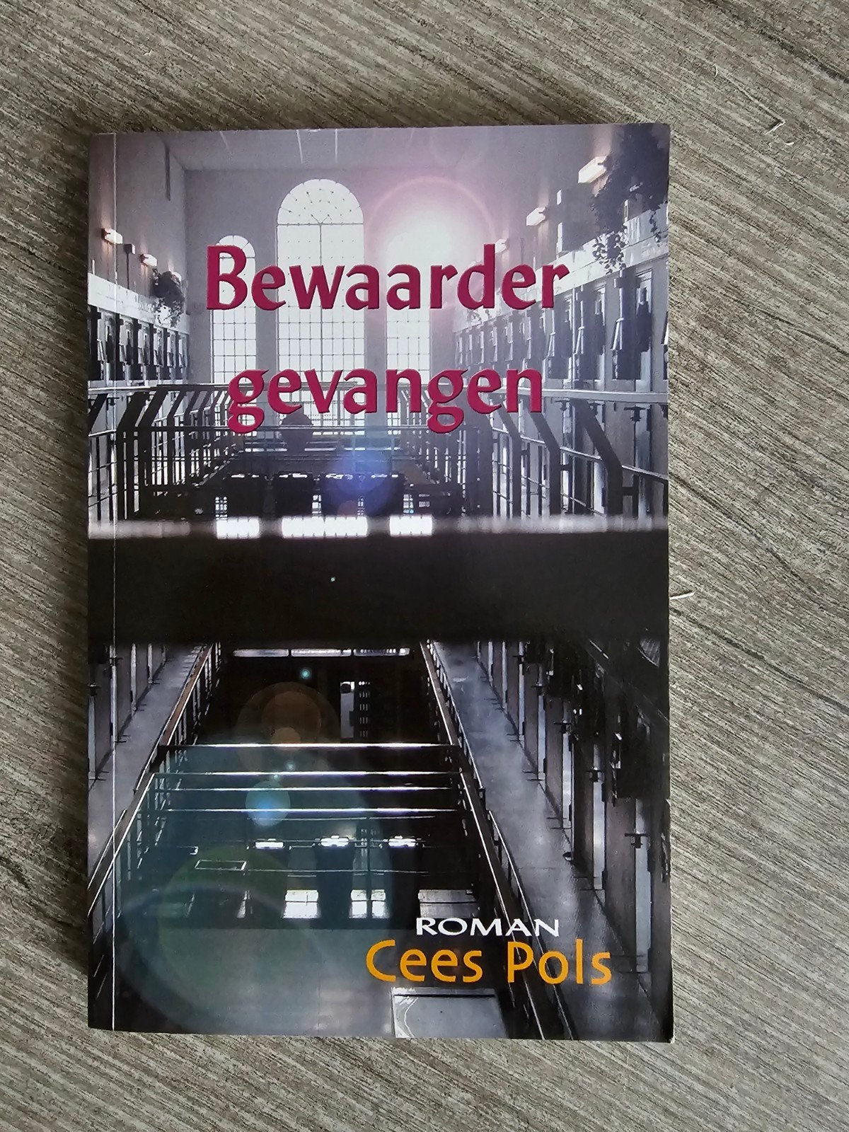 Bewaar gevangen - Roman door Cees Pols, Ophalen of Verzenden, Gelezen, Cees Pols, Nederland