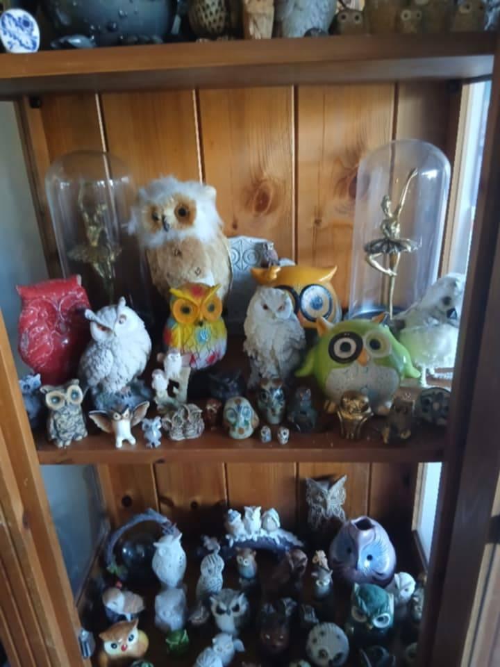 Mijn uilen verzameling, Ophalen, Gebruikt, Overige typen