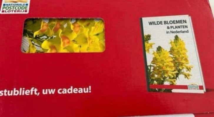 Nieuw: Wilde bloemen & planten in Nederland + veldgids, Boeken, Ophalen of Verzenden, Nieuw, Bloemen, Planten en Bomen