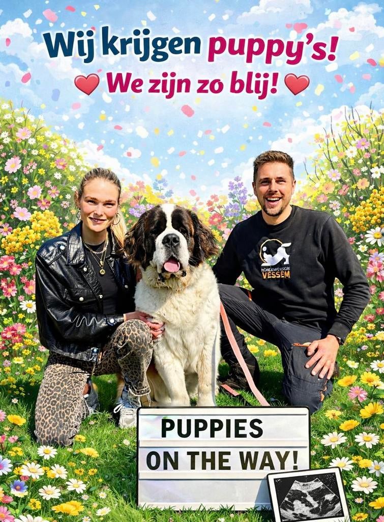 Doodle pups "Exclusieve/Zeldzame Doodles, Eén persoon