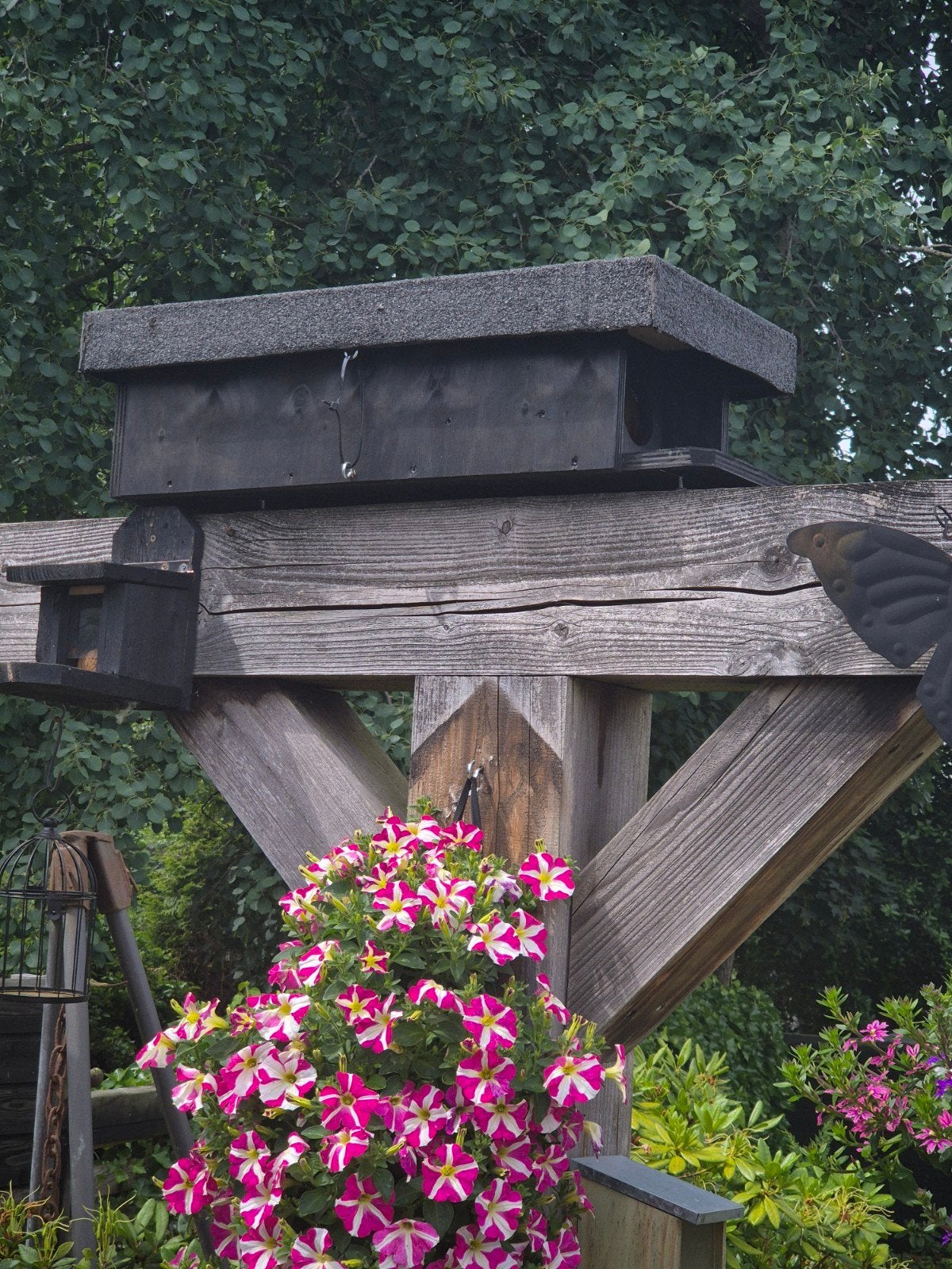 steenuilen nestkasten, Ophalen