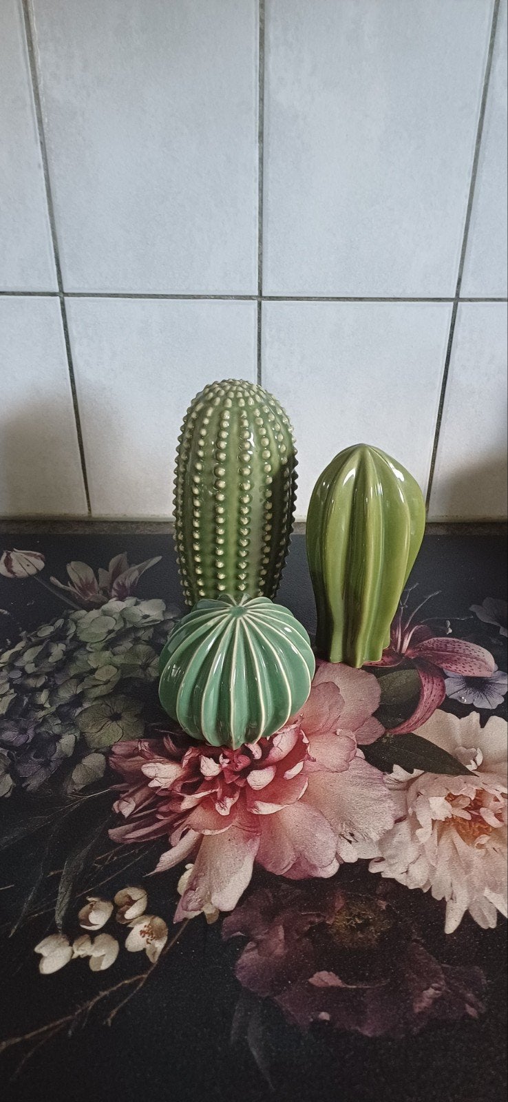 ikea Cactussen, Huis en Inrichting, Kamerplanten, Ophalen, Halfschaduw, Minder dan 100 cm