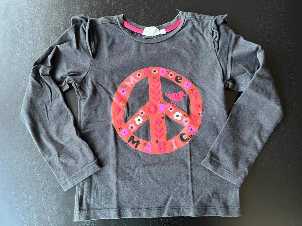 Maat 116 Jubel shirt grijs met print, Ophalen of Verzenden, Zo goed als nieuw, Meisje, Shirt of Longsleeve