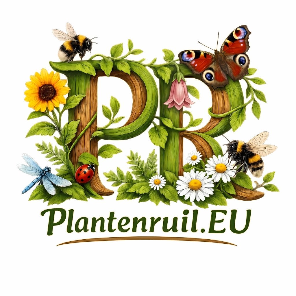 Inheemse planten & biologische planten | stekjes & zaden, Ophalen, Volle zon, Vaste plant, Kruiden