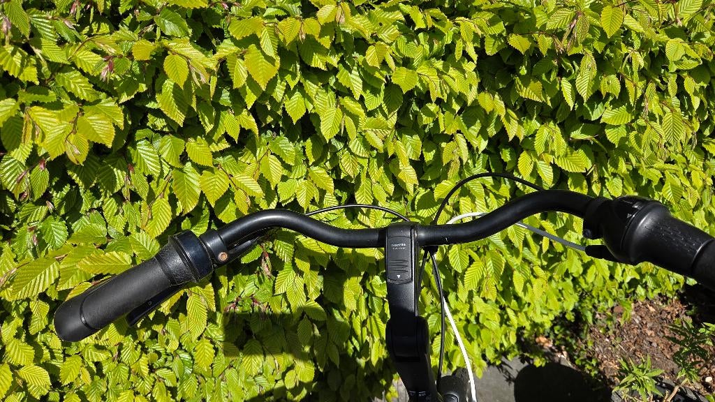 Gazelle Orange C7+ H57 N7, Ophalen, Gebruikt, Versnellingen, 57 tot 61 cm