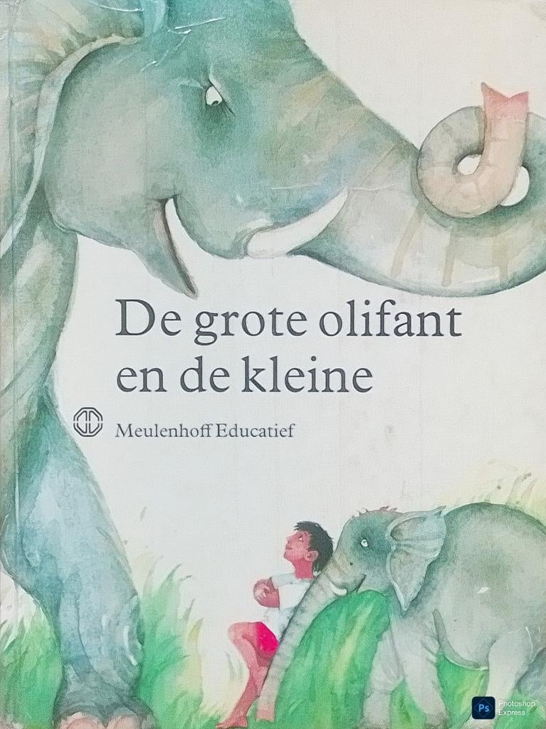 De Grote Olifant En De Kleine, Boeken, Kinderboeken | Kleuters, Gelezen, Jongen of Meisje, Ophalen of Verzenden, Voorleesboek