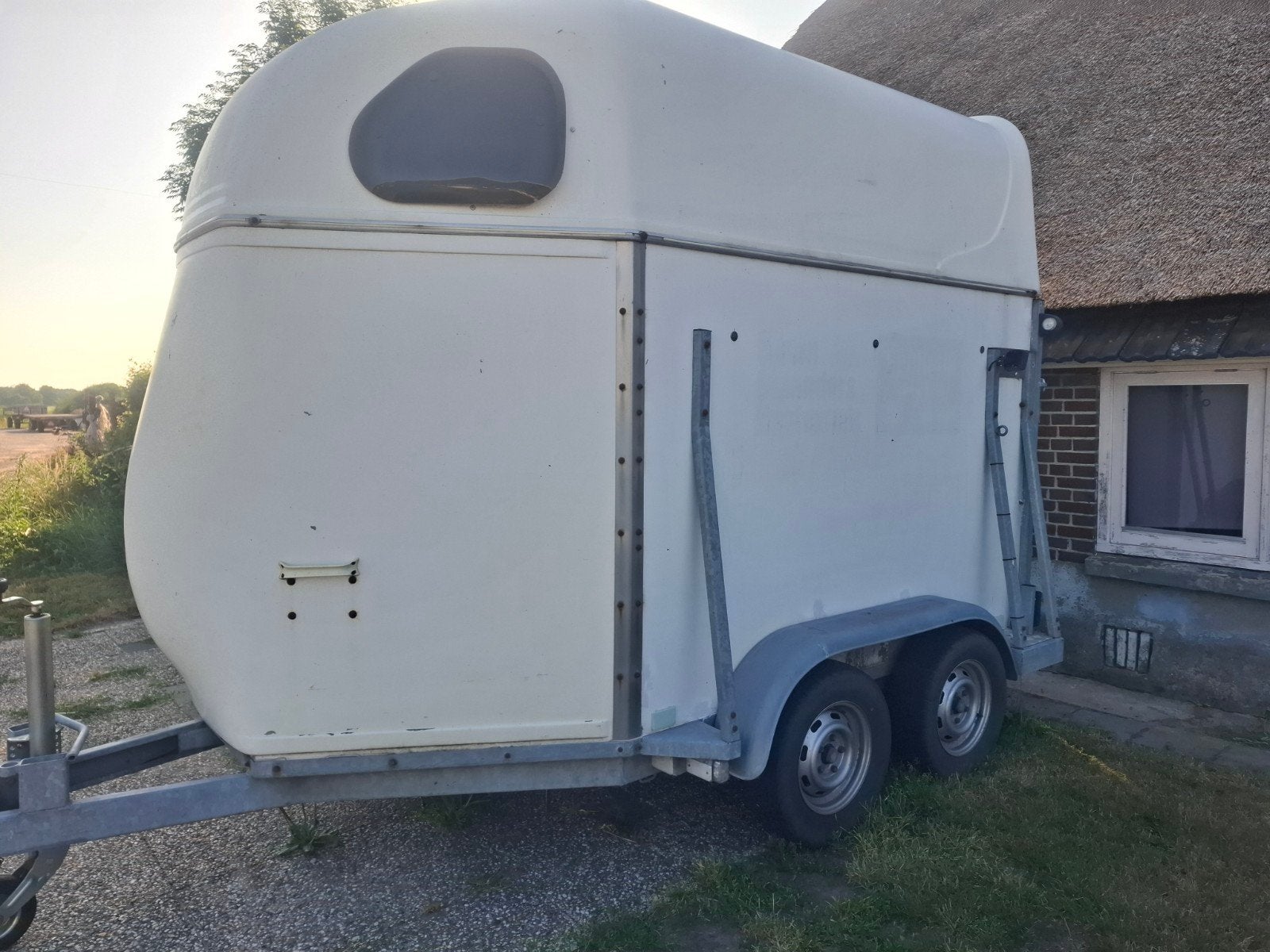 Paardentrailer te koop - Goede staat, Ophalen of Verzenden, Gebruikt
