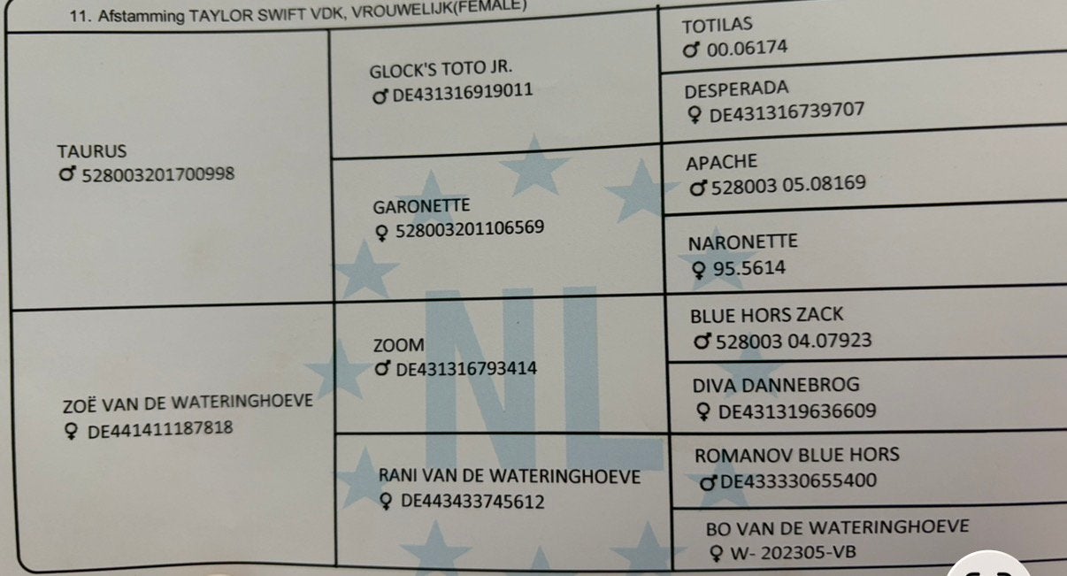 Paard te koop, Ophalen of Verzenden