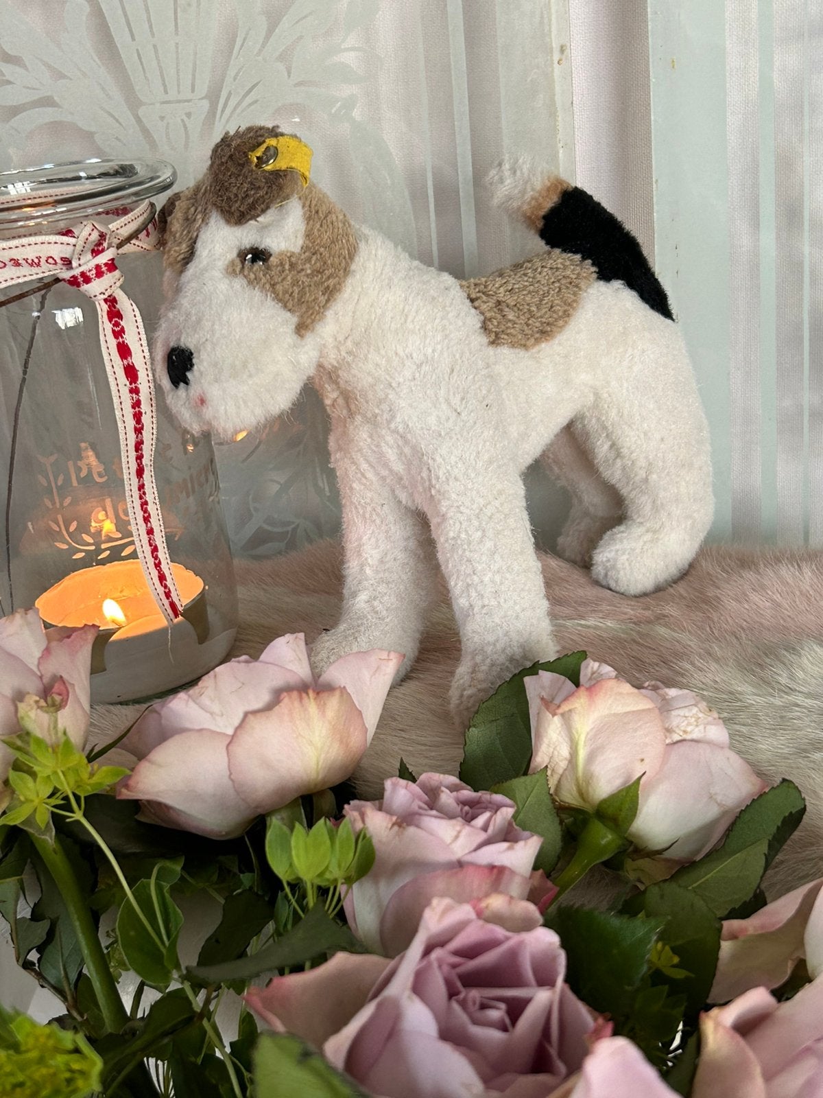 Steiff FoxTerrier antieke knuffel knopf im ohr izgst, Ophalen