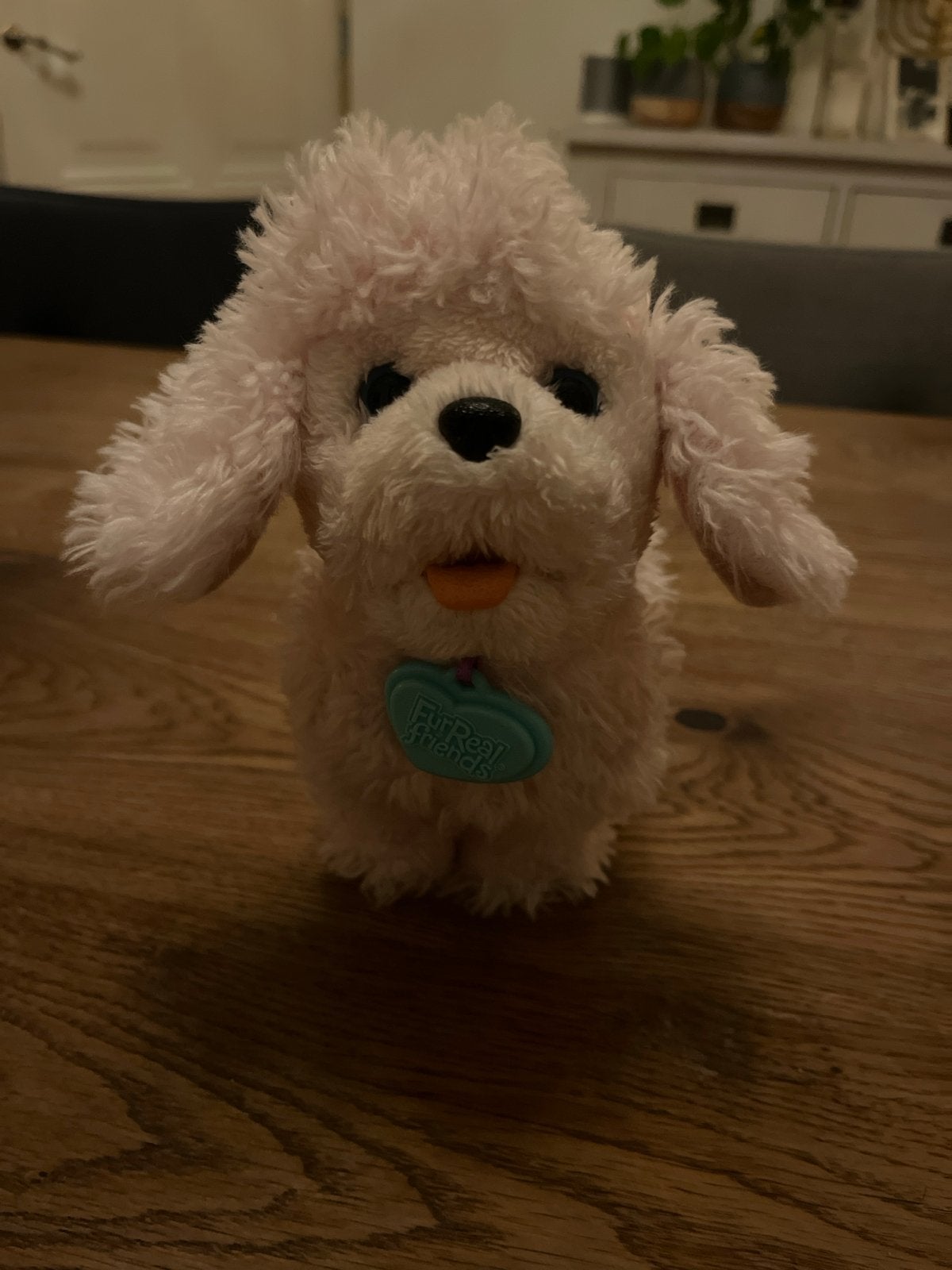 FurReal Friends Roze Interactieve Hond, Overige merken, Zo goed als nieuw, Middelgroot (20 tot 80 cm), Roze